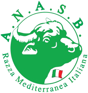 logo anasb Vettoriale 1 bg